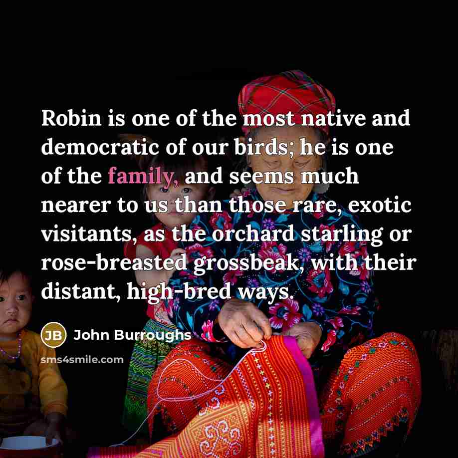 “Robin is one of the most native and democratic of…” quote by John Burroughs