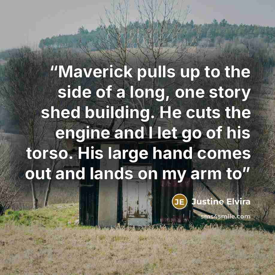 “Maverick pulls up to the side of a long, one story shed building. He cuts the engine and I let go of his torso. His large hand comes out and lands on my arm to” quote by Justine Elvira