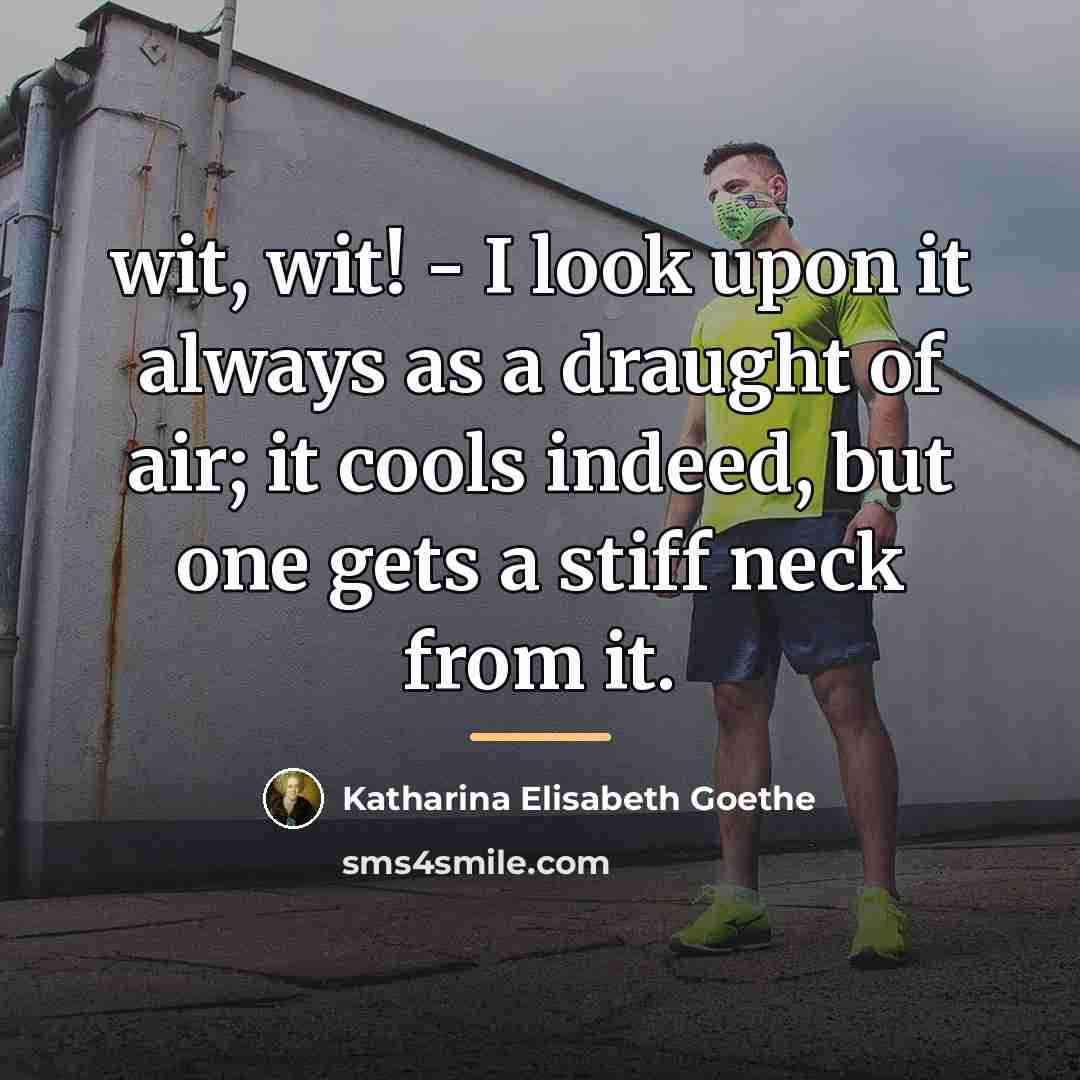 “wit, wit! - I look upon it always as a…” quote by Katharina Elisabeth Goethe