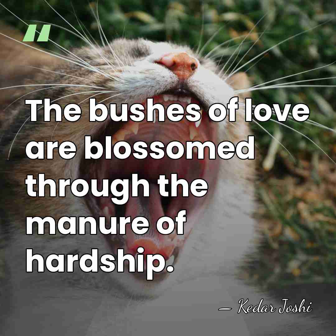 The bushes of love are blossomed through the manure of hardship. - Kedar Joshi