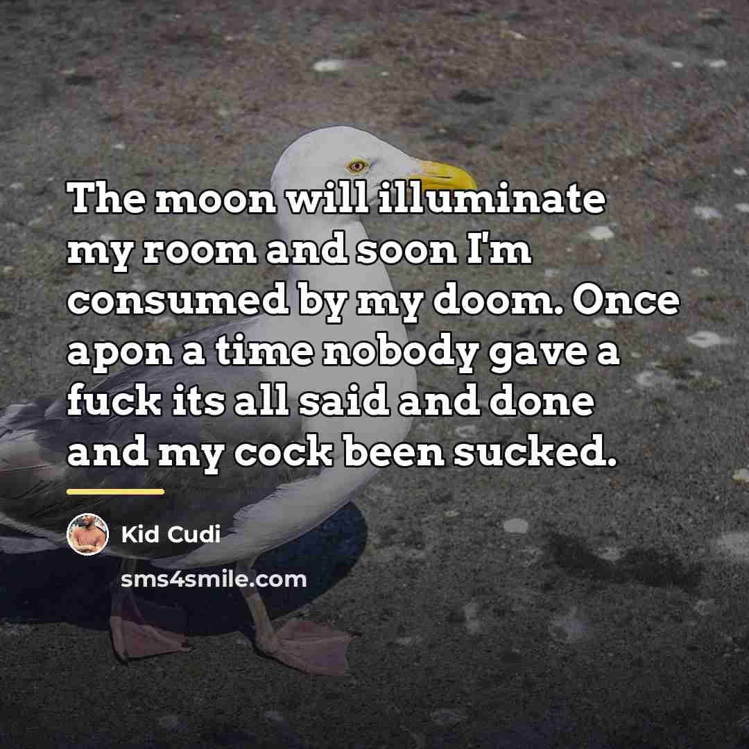 “The moon will illuminate my room and soon I'm consumed…” quote by Kid Cudi