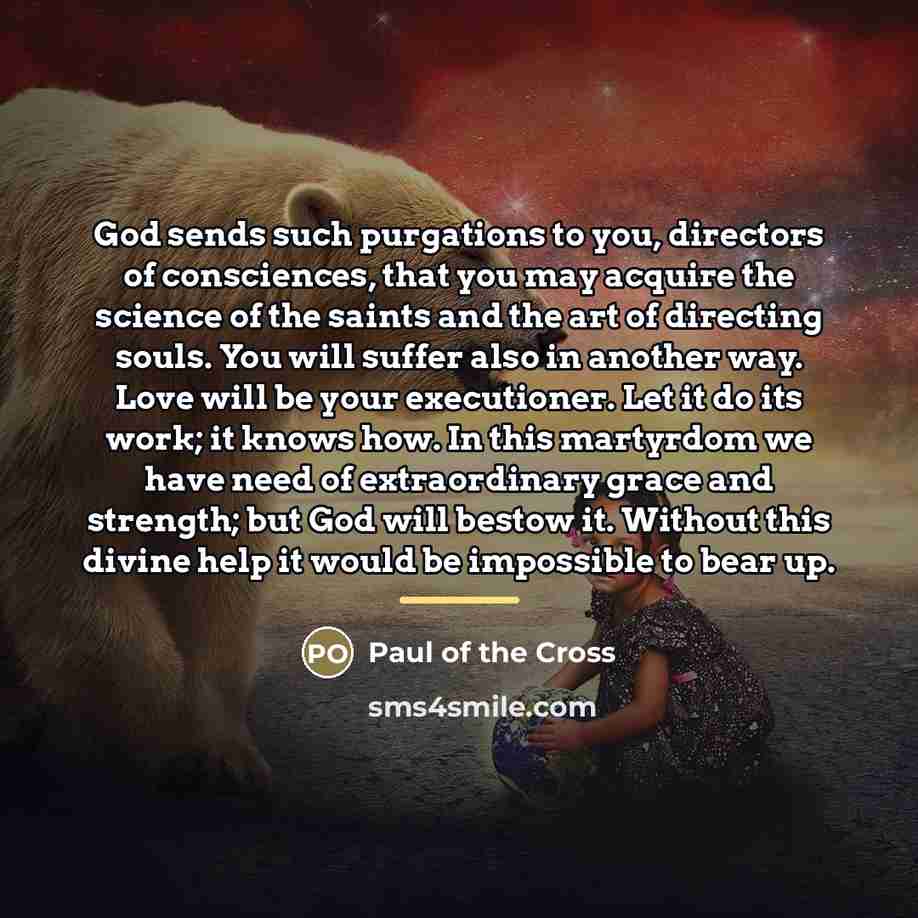 “God sends such purgations to you, directors of consciences, that…” quote by Paul of the Cross