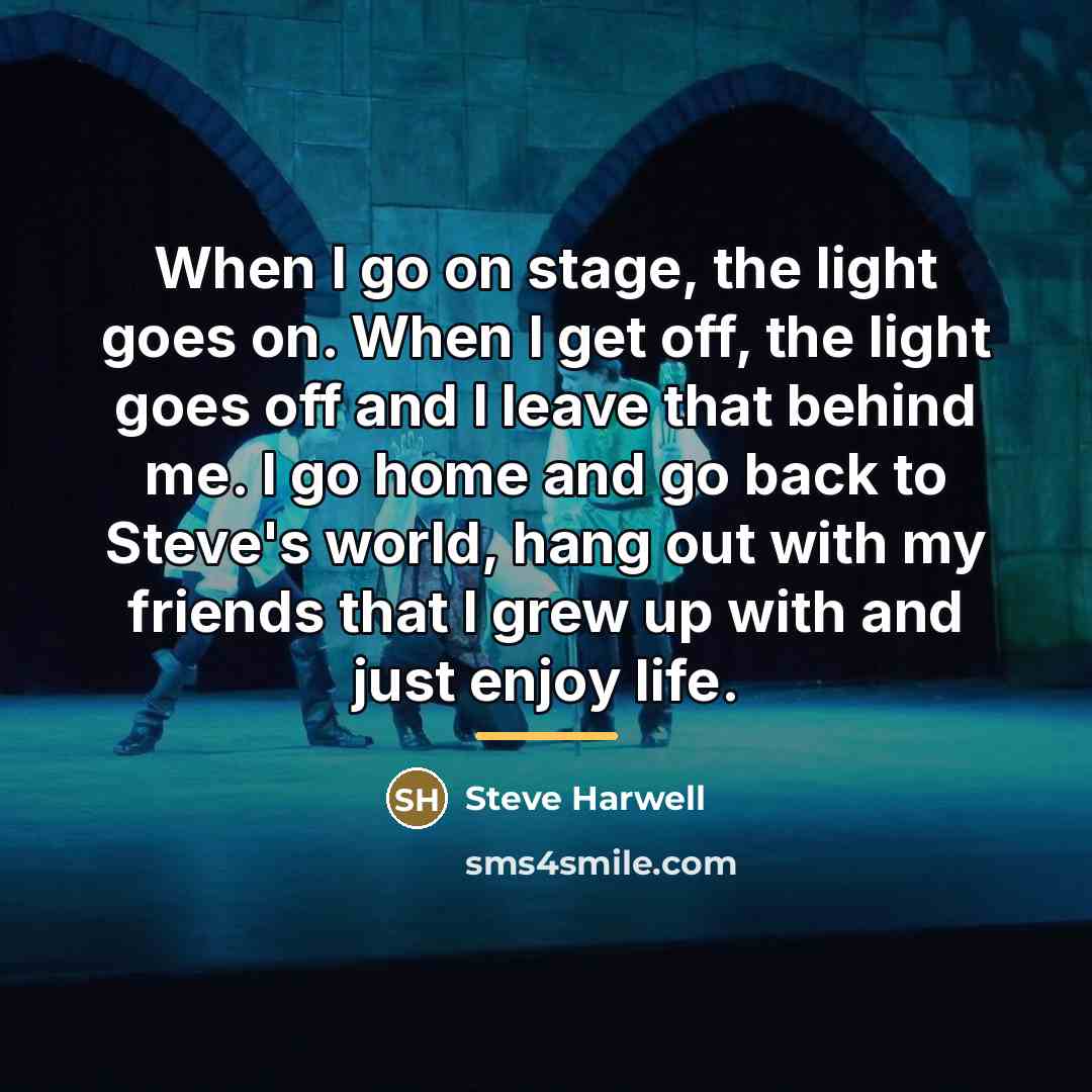 “When I go on stage, the light goes on. When…” quote by Steve Harwell