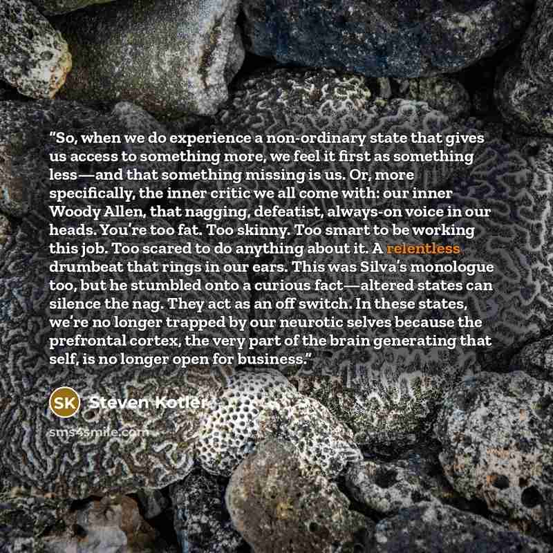 “So, when we do experience a non-ordinary state that gives us access to something more, we feel it first as something less—and that something missing is us. Or, more specifically, the inner critic we all come with: our inner Woody Allen, that nagging, defeatist, always-on voice in our heads. You’re…” quote by Steven Kotler