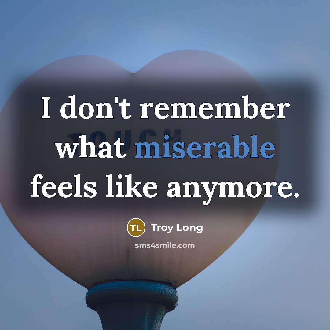 “I don't remember what miserable feels like anymore.” quote by Troy Long