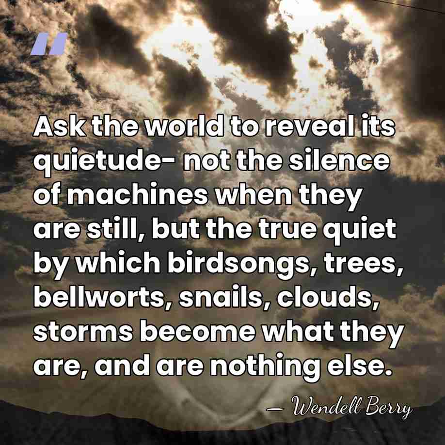 Ask the world to reveal its quietude- not the silence of machines&hellip; - Wendell Berry