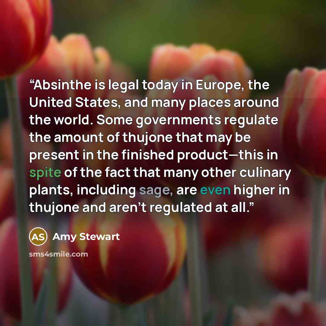 “Absinthe is legal today in Europe, the United States, and many places around the world. Some governments regulate the amount of thujone that may be present in the finished product—this in spite of the fact that many other culinary plants, including sage, are even higher in thujone and aren’t…” quote by Amy Stewart