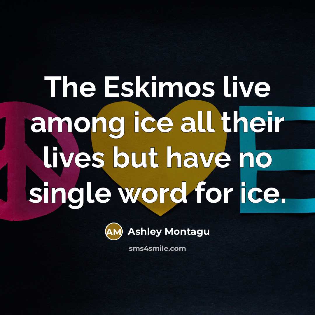 “The Eskimos live among ice all their lives but have…” quote by Ashley Montagu