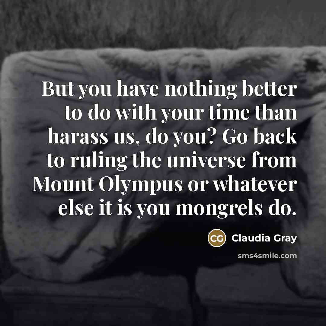 “But you have nothing better to do with your time…” quote by Claudia Gray