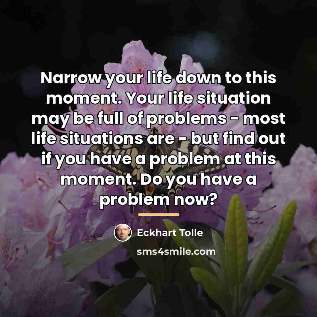 “Narrow your life down to this moment. Your life situation…” quote by Eckhart Tolle