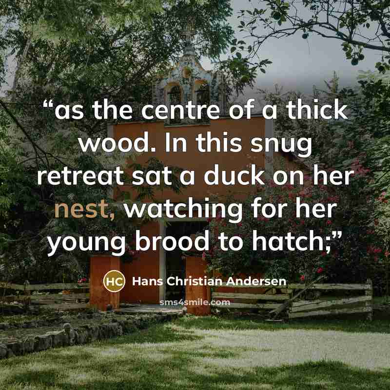 “as the centre of a thick wood. In this snug retreat sat a duck on her nest, watching for her young brood to hatch;” quote by Hans Christian Andersen