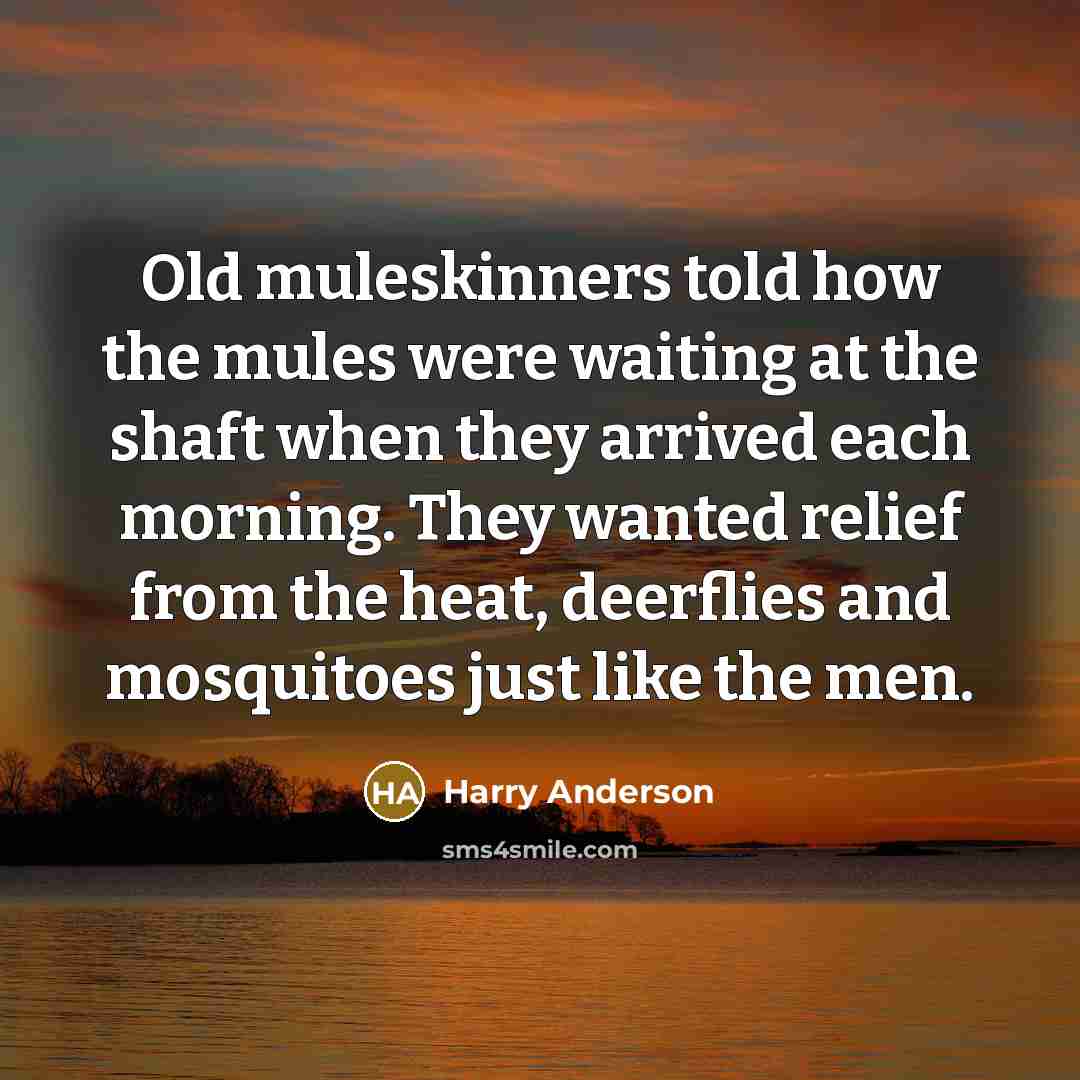 “Old muleskinners told how the mules were waiting at the…” quote by Harry Anderson