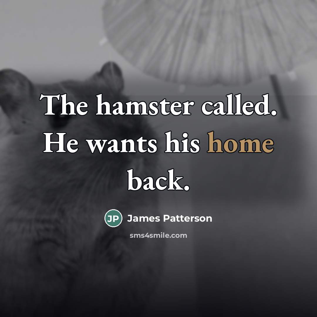 “The hamster called. He wants his home back.…” quote by James Patterson