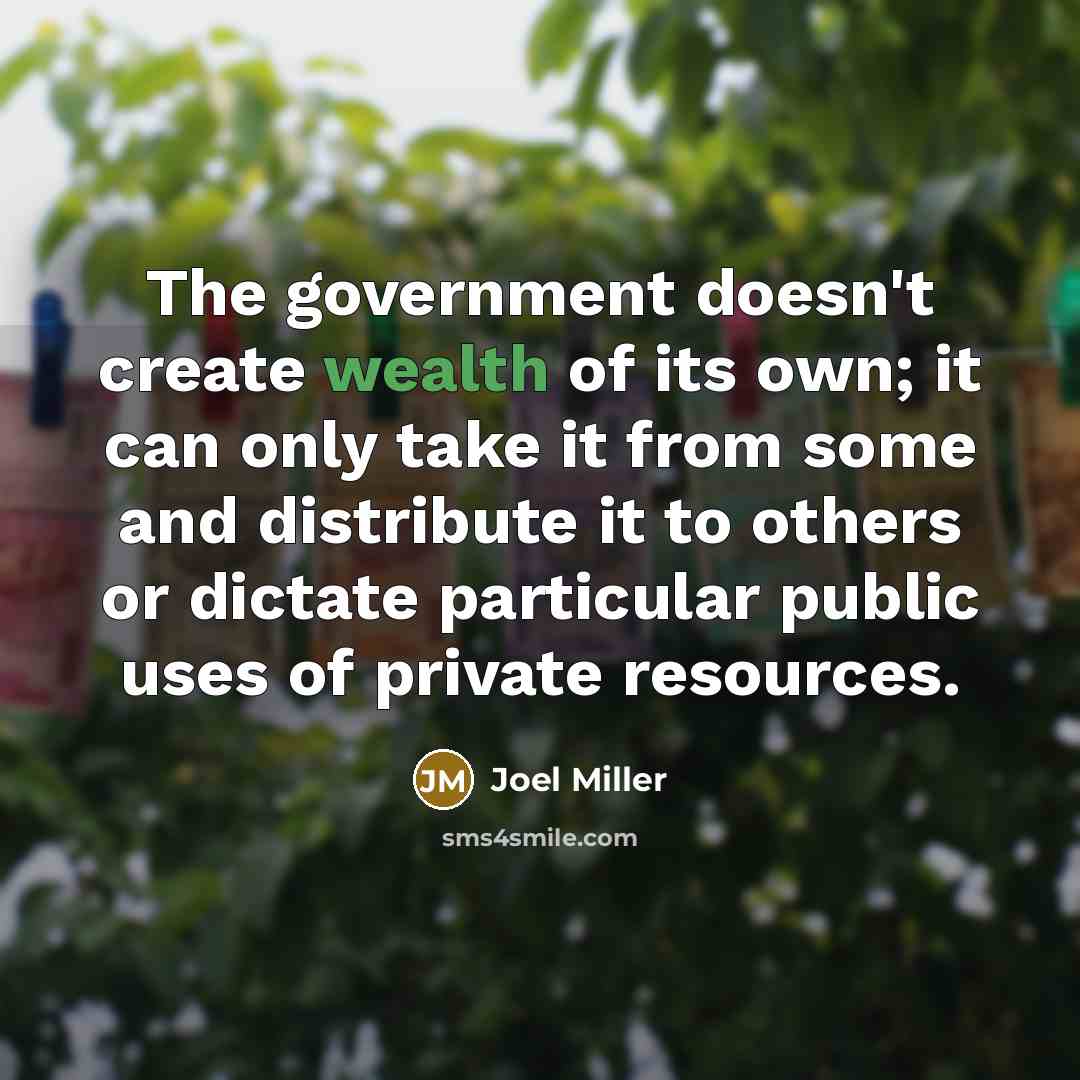 “The government doesn't create wealth of its own; it can…” quote by Joel Miller