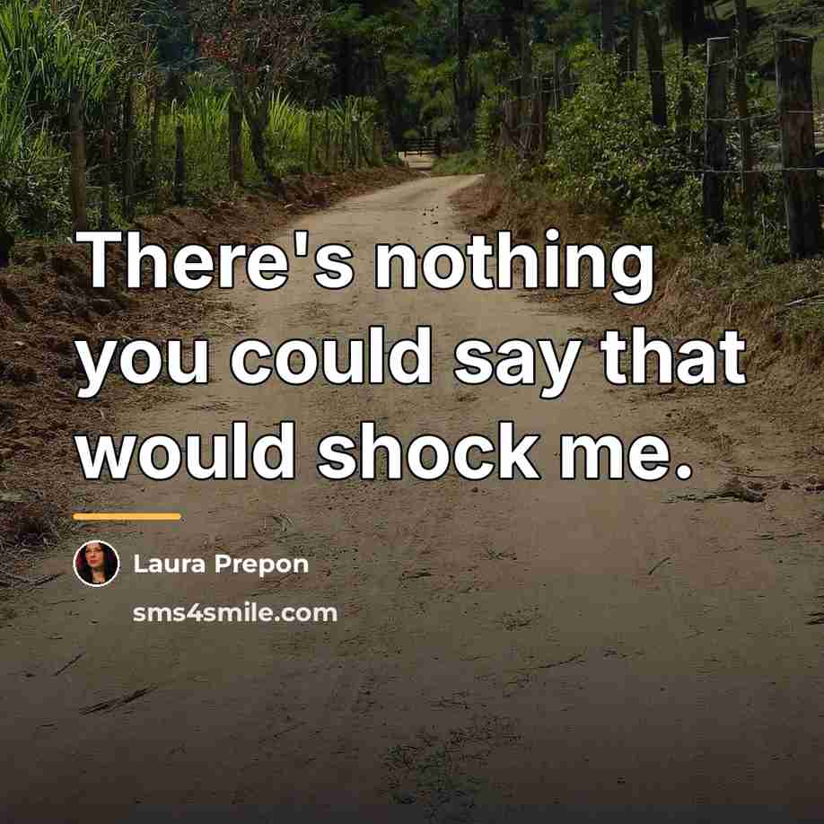 “There's nothing you could say that would shock me.…” quote by Laura Prepon