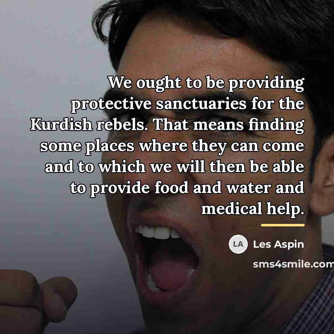 “We ought to be providing protective sanctuaries for the Kurdish…” quote by Les Aspin