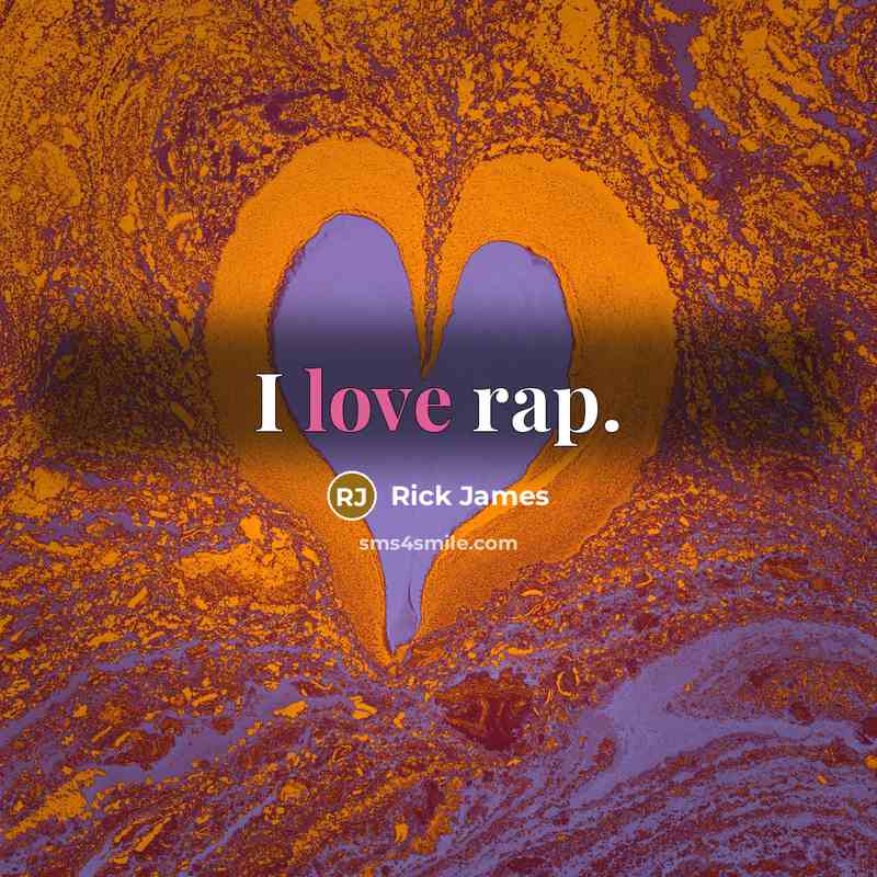 “I love rap.…” quote by Rick James