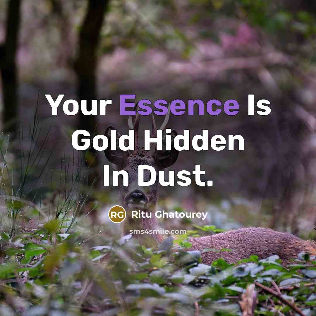 “Your Essence Is Gold Hidden In Dust.…” quote by Ritu Ghatourey