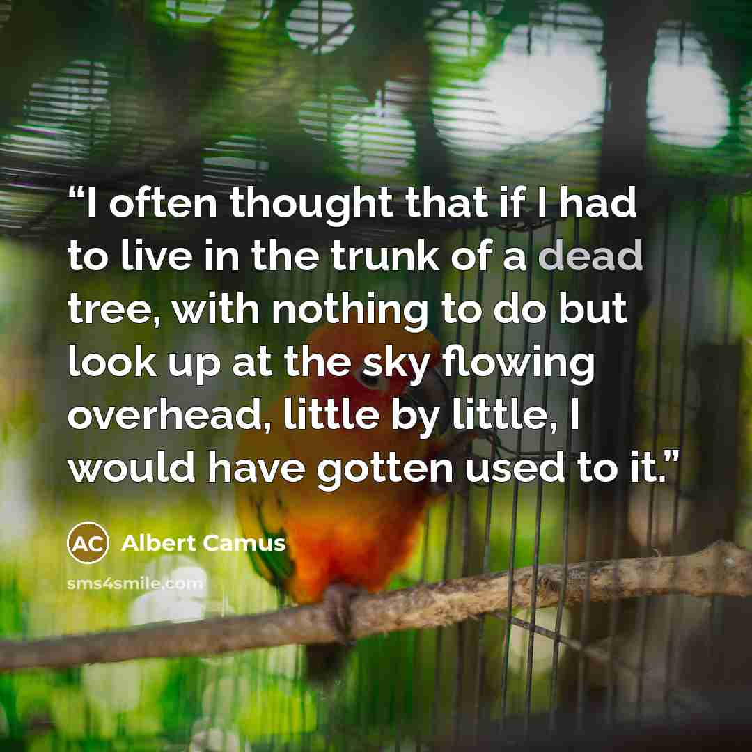 “I often thought that if I had to live in the trunk of a dead tree, with nothing to do but look up at the sky flowing overhead, little by little, I would have gotten used to it.” quote by Albert Camus