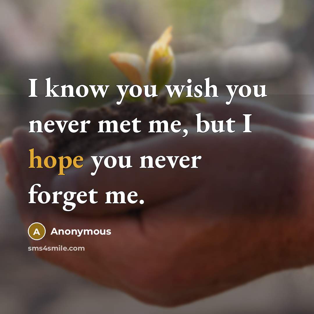 “I know you wish you never met me, but I…” quote by Anonymous