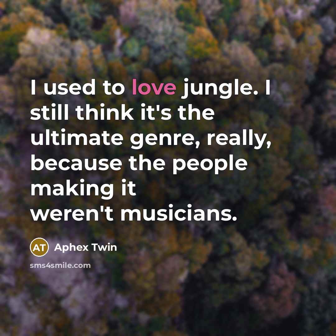 “I used to love jungle. I still think it's the…” quote by Aphex Twin