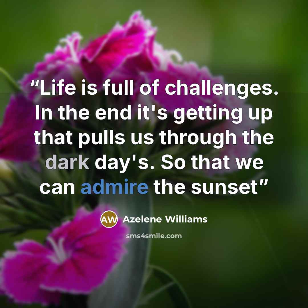 “Life is full of challenges. In the end it's getting up that pulls us through the dark day's. So that we can admire the sunset” quote by Azelene Williams