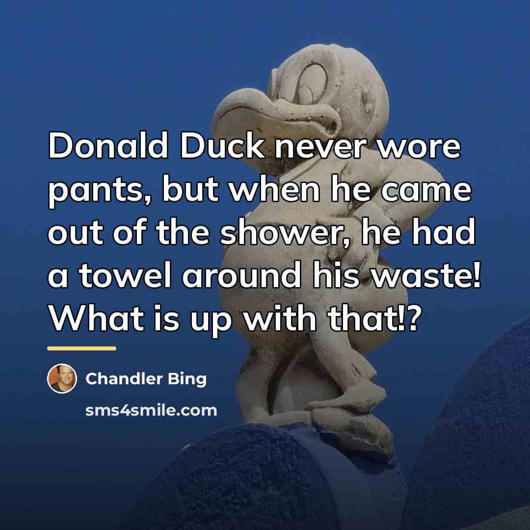 “Donald Duck never wore pants, but when he came out…” quote by Chandler Bing