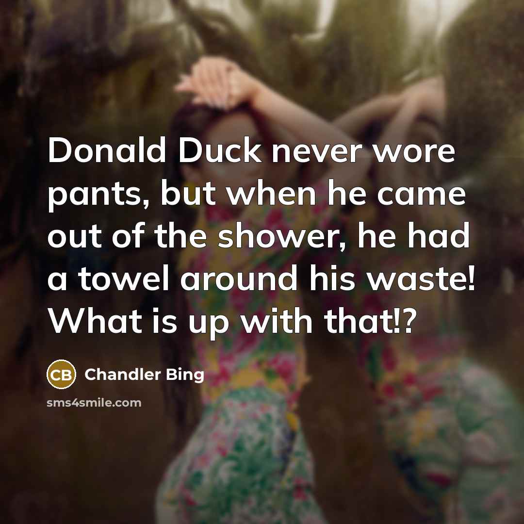 “Donald Duck never wore pants, but when he came out of the shower, he had a towel around his waste! What is up with that!?” quote by Chandler Bing