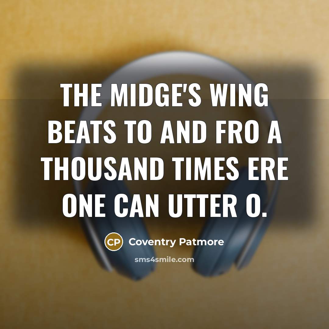 “The midge's wing beats to and fro A thousand times…” quote by Coventry Patmore