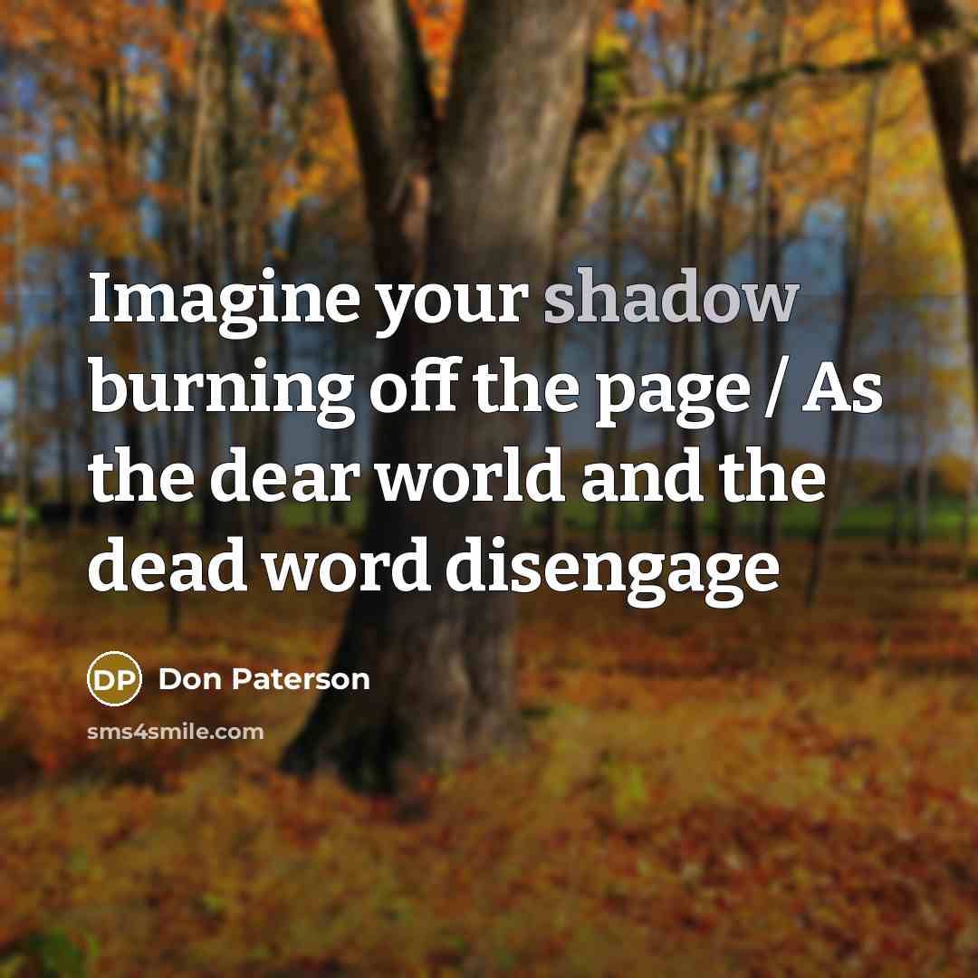 “Imagine your shadow burning off the page / As the…” quote by Don Paterson