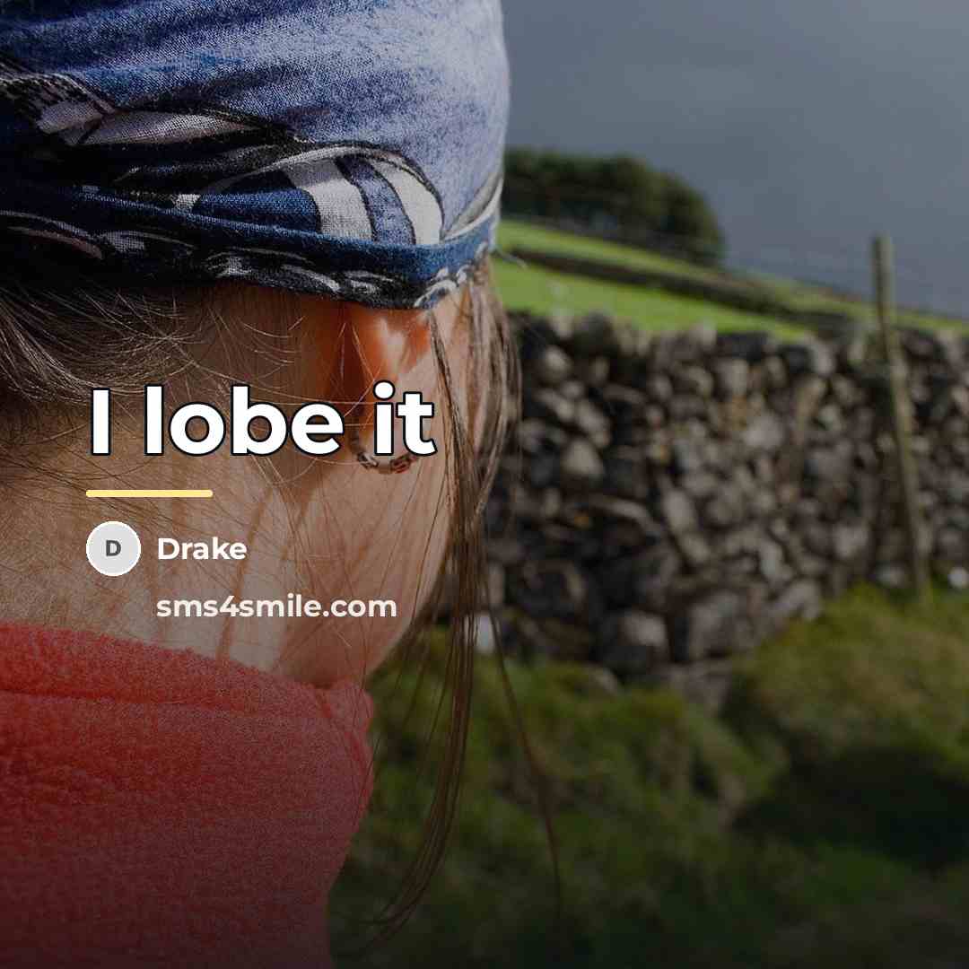 “I lobe it…” quote by Drake