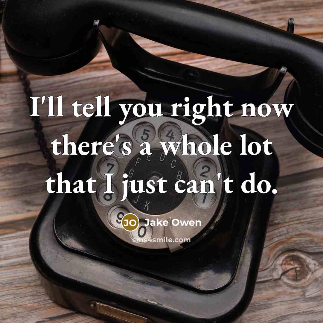 “I'll tell you right now there's a whole lot that…” quote by Jake Owen