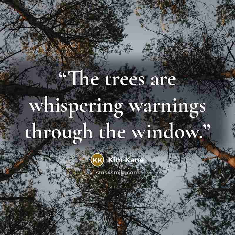 “The trees are whispering warnings through the window.” quote by Kim Kane