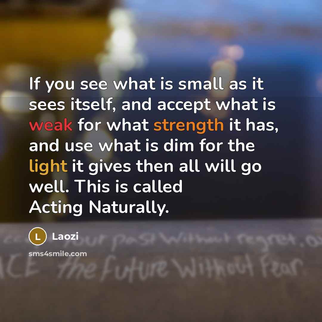 “If you see what is small as it sees itself,…” quote by Laozi