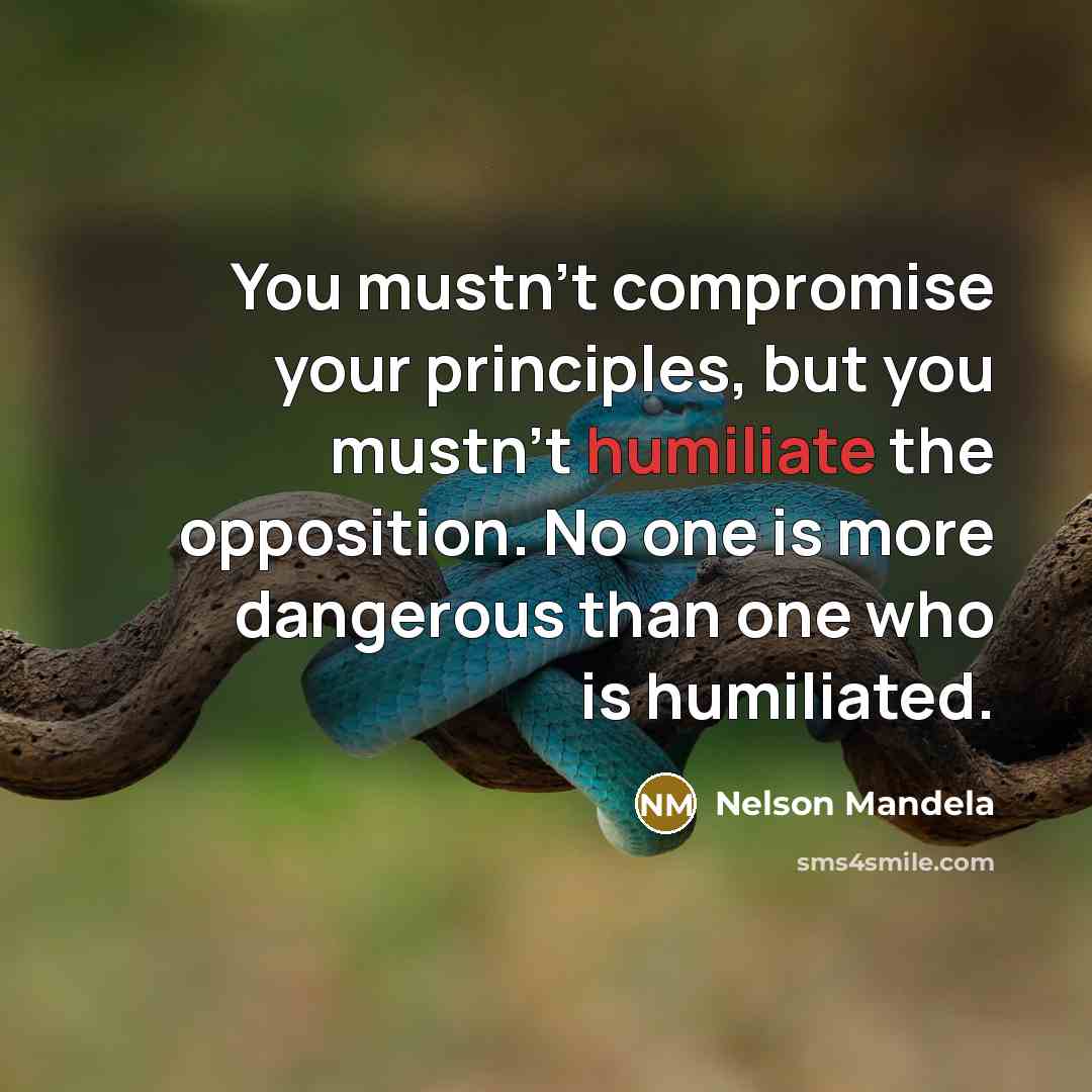 “You mustn't compromise your principles, but you mustn't humiliate the…” quote by Nelson Mandela
