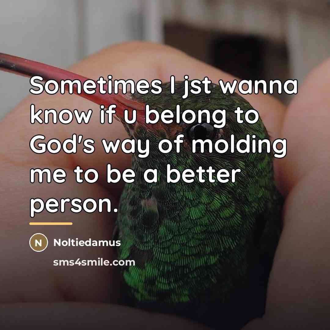 “Sometimes I jst wanna know if u belong to God's…” quote by Noltiedamus