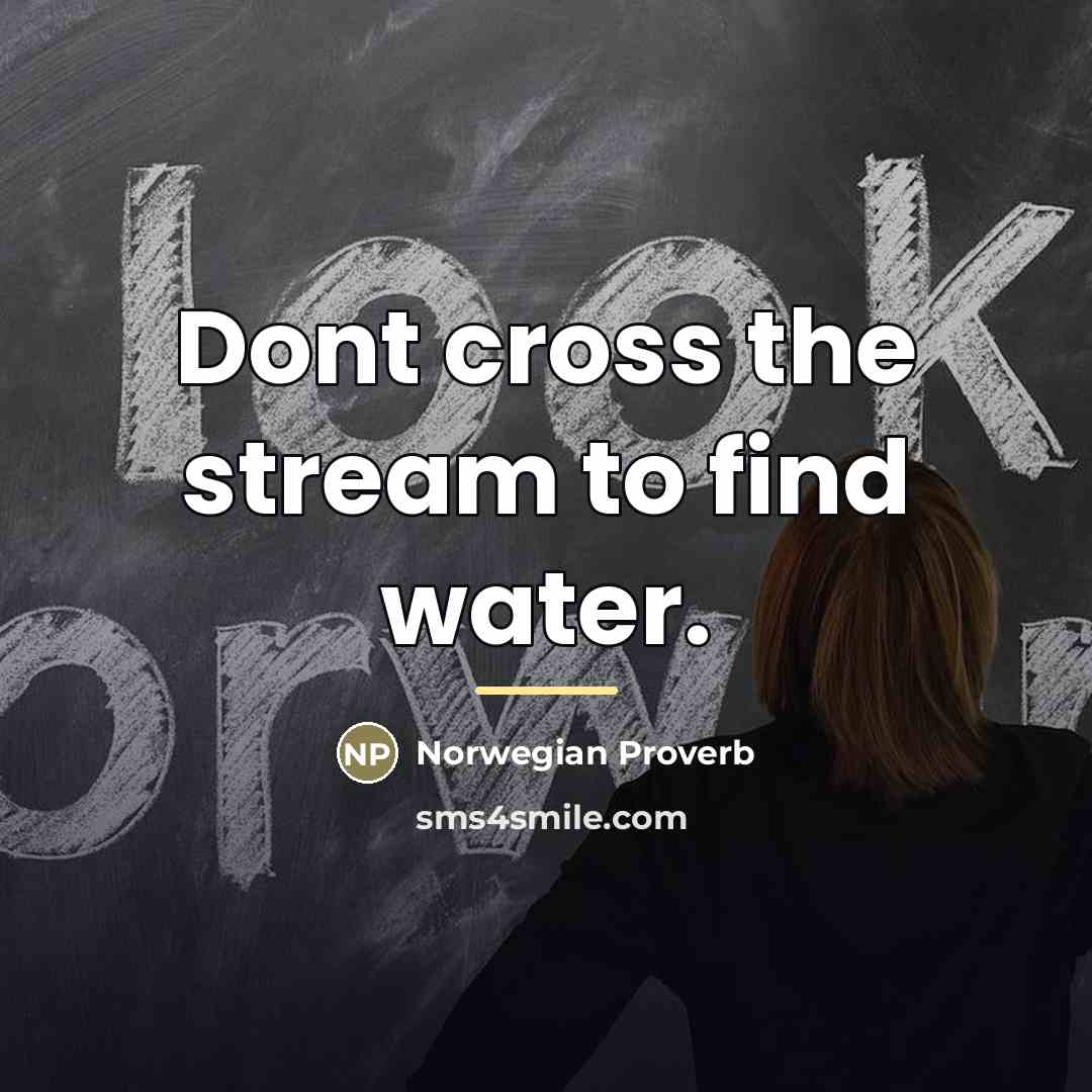 “Dont cross the stream to find water.…” quote by Norwegian Proverb