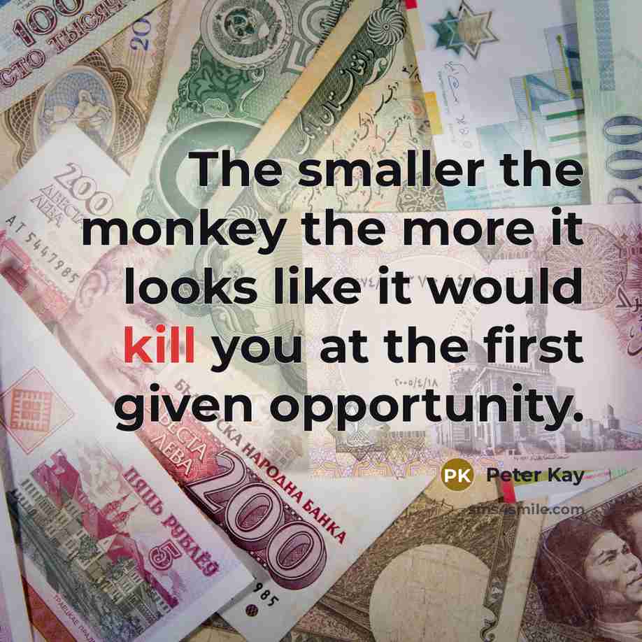 “The smaller the monkey the more it looks like it…” quote by Peter Kay