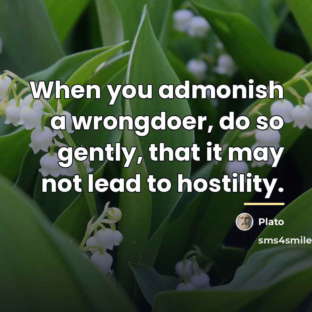 “When you admonish a wrongdoer, do so gently, that it…” quote by Plato