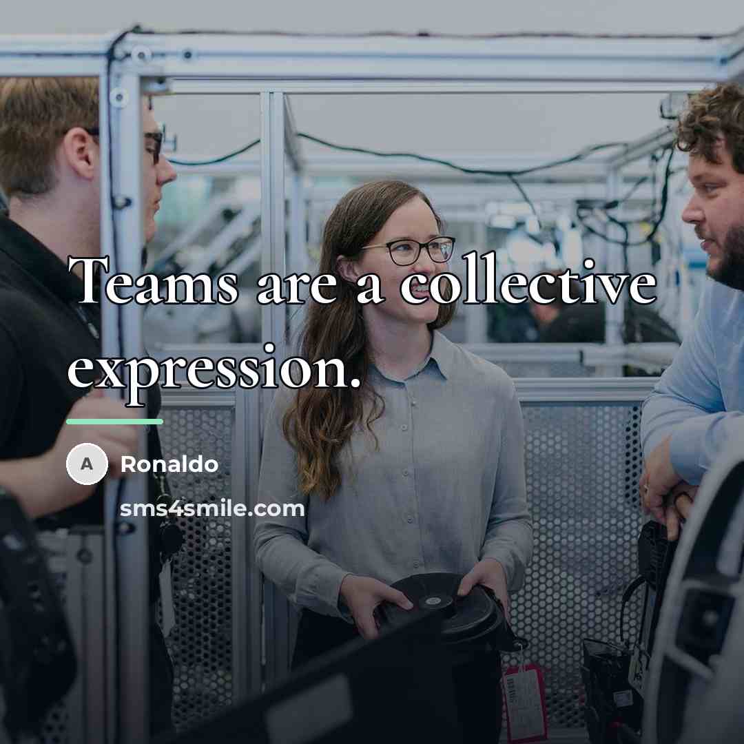 “Teams are a collective expression.…” quote by Ronaldo