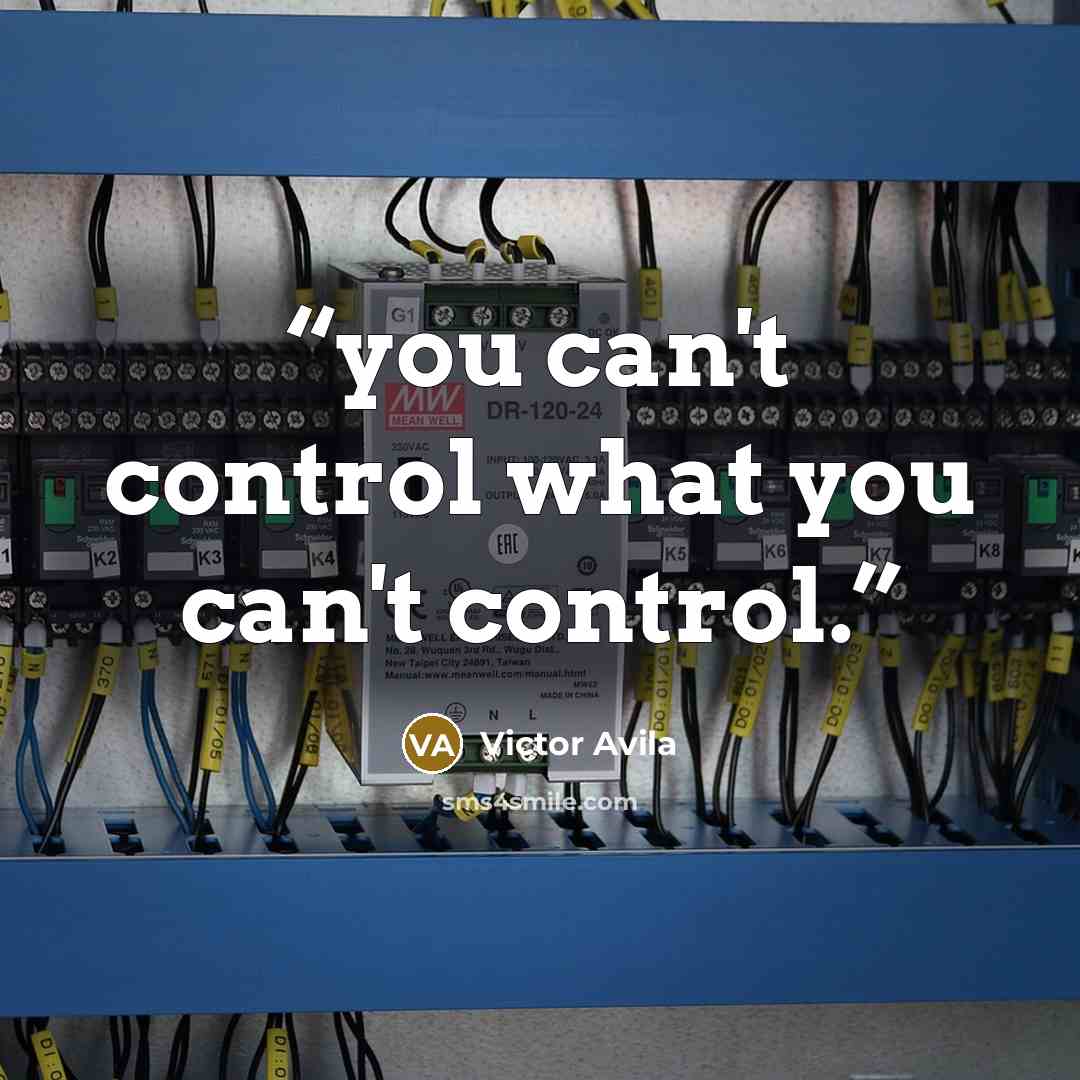 “you can't control what you can't control.” quote by Victor Avila