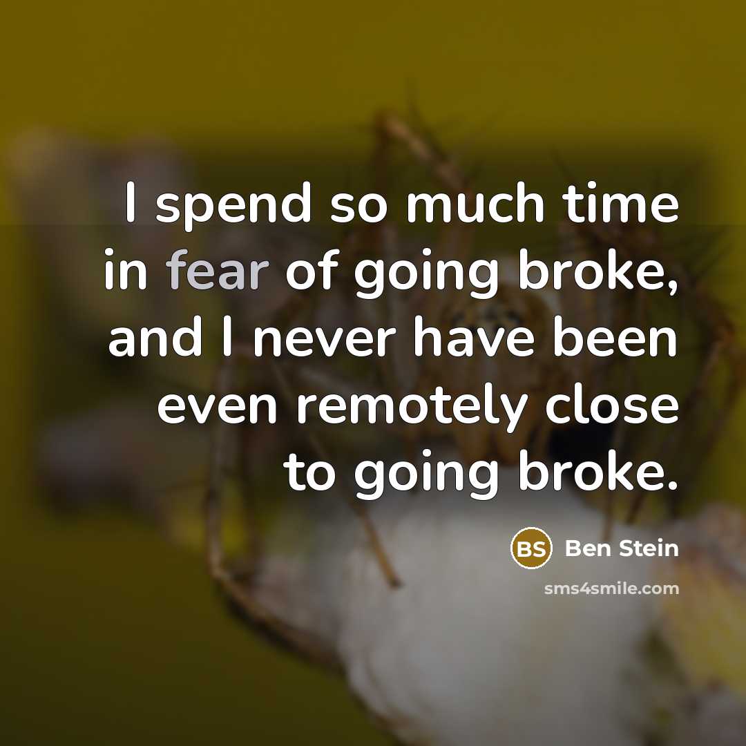 “I spend so much time in fear of going broke,…” quote by Ben Stein