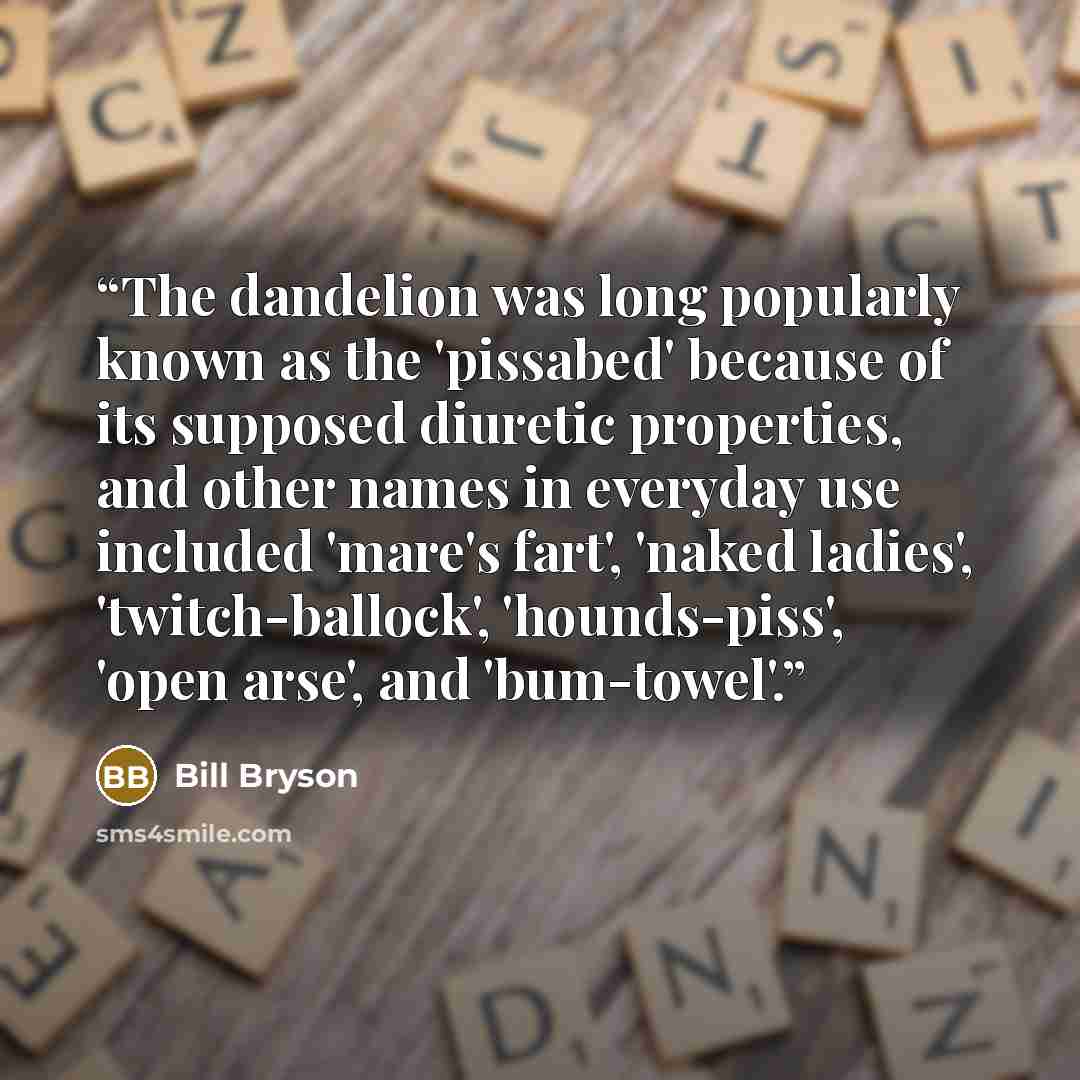 “The dandelion was long popularly known as the 'pissabed' because of its supposed diuretic properties, and other names in everyday use included 'mare's fart', 'naked ladies', 'twitch-ballock', 'hounds-piss', 'open arse', and 'bum-towel'.” quote by Bill Bryson