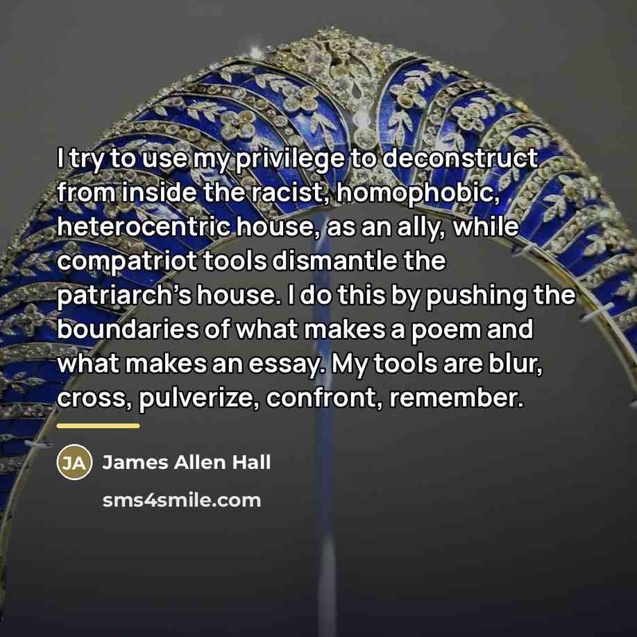 “I try to use my privilege to deconstruct from inside…” quote by James Allen Hall