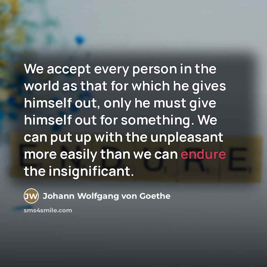 “We accept every person in the world as that for…” quote by Johann Wolfgang von Goethe
