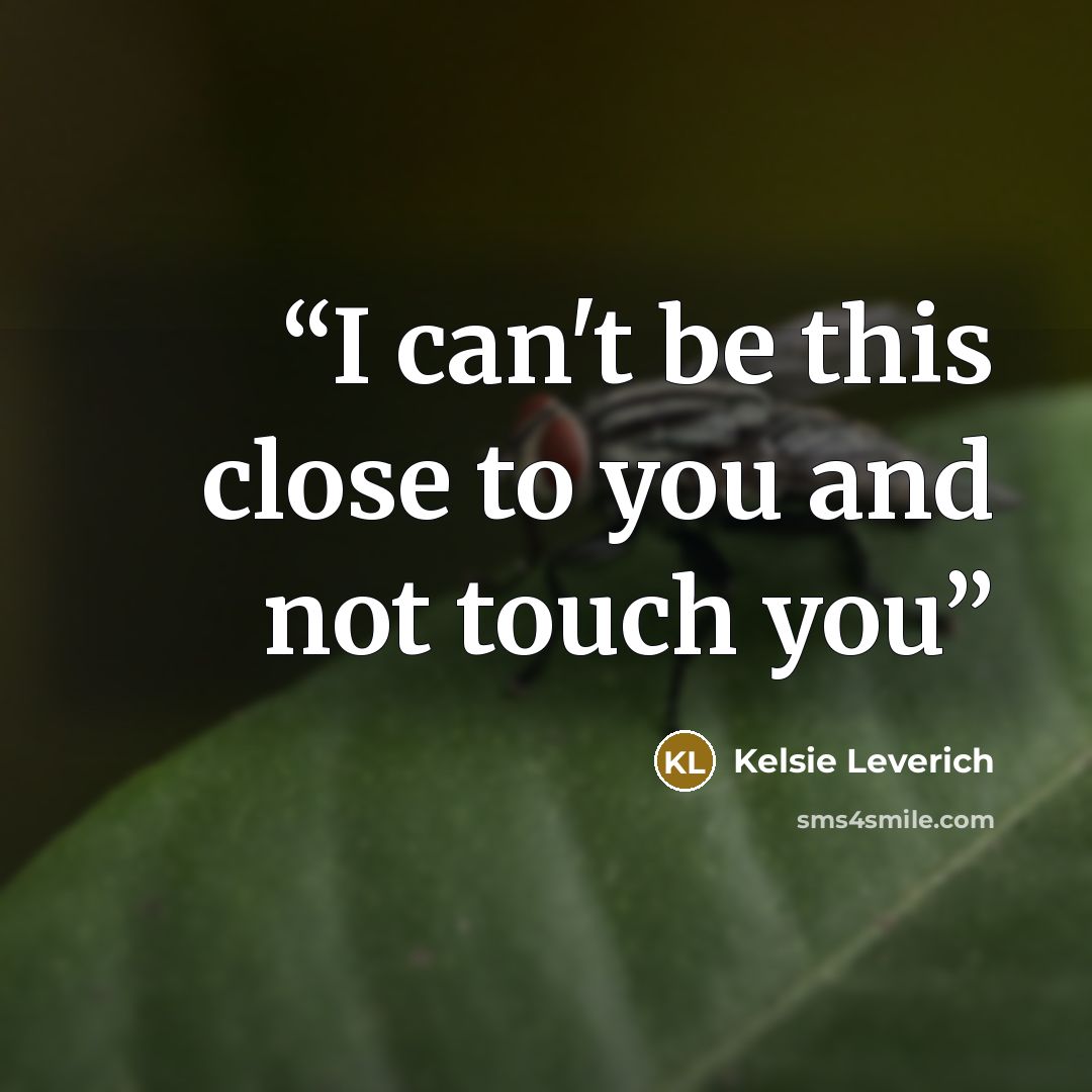 “I can't be this close to you and not touch you” quote by Kelsie Leverich