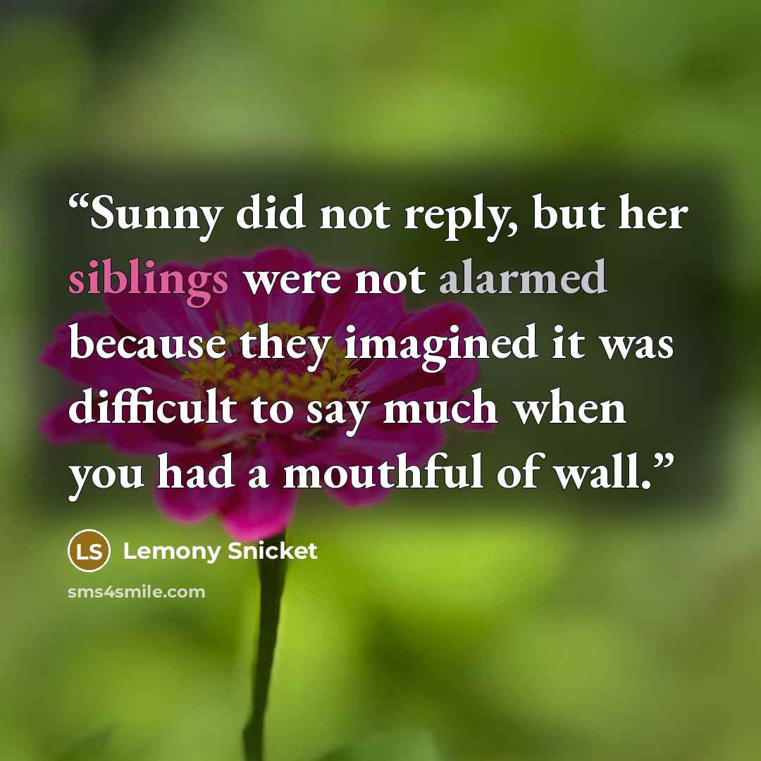 “Sunny did not reply, but her siblings were not alarmed because they imagined it was difficult to say much when you had a mouthful of wall.” quote by Lemony Snicket