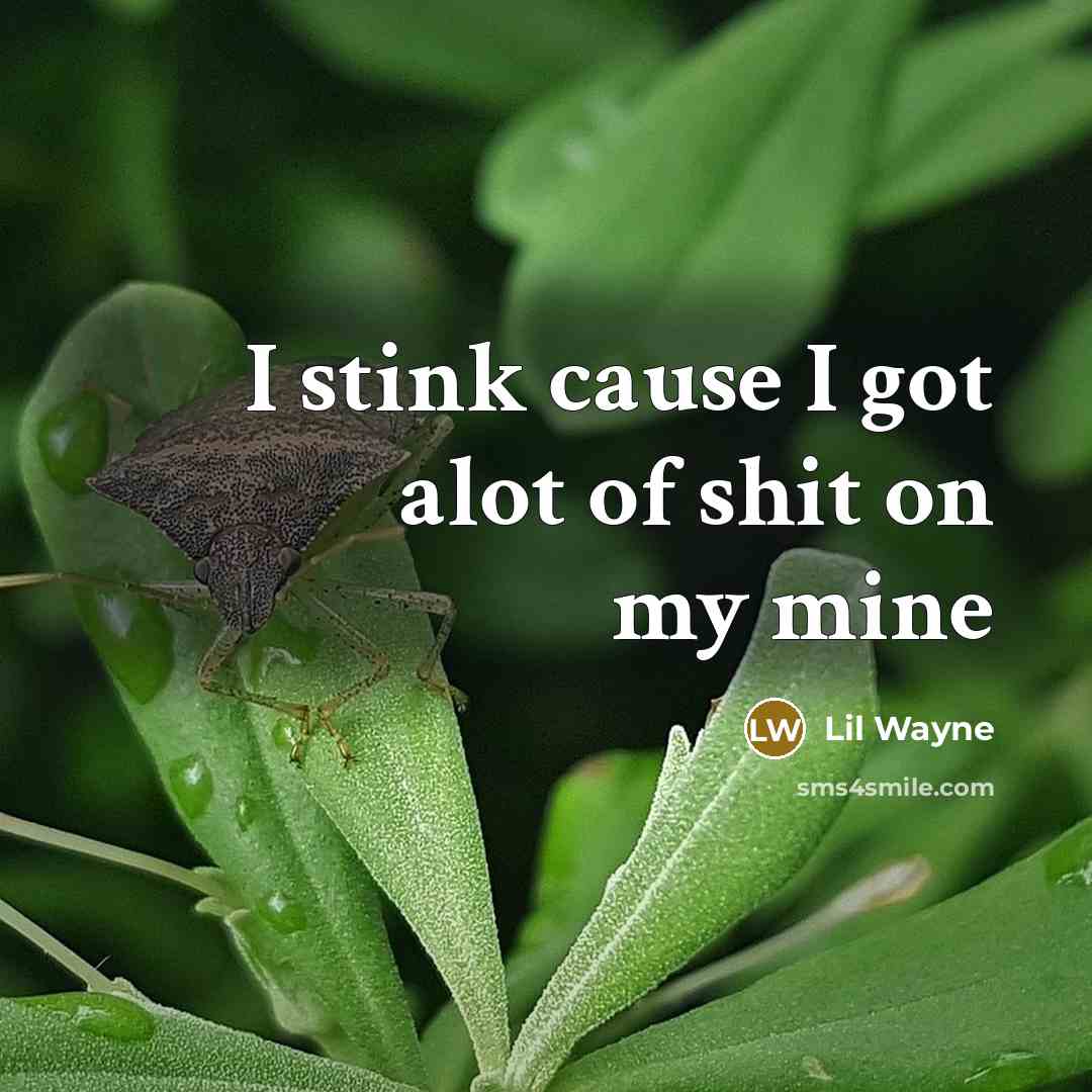 “I stink cause I got alot of shit on my mine” quote by Lil Wayne