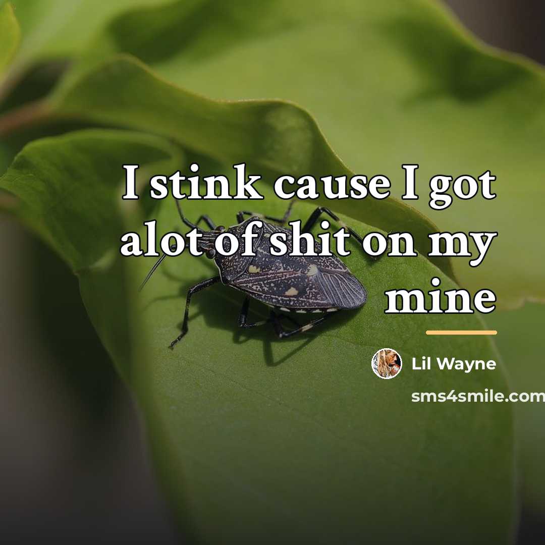 “I stink cause I got alot of shit on my…” quote by Lil Wayne