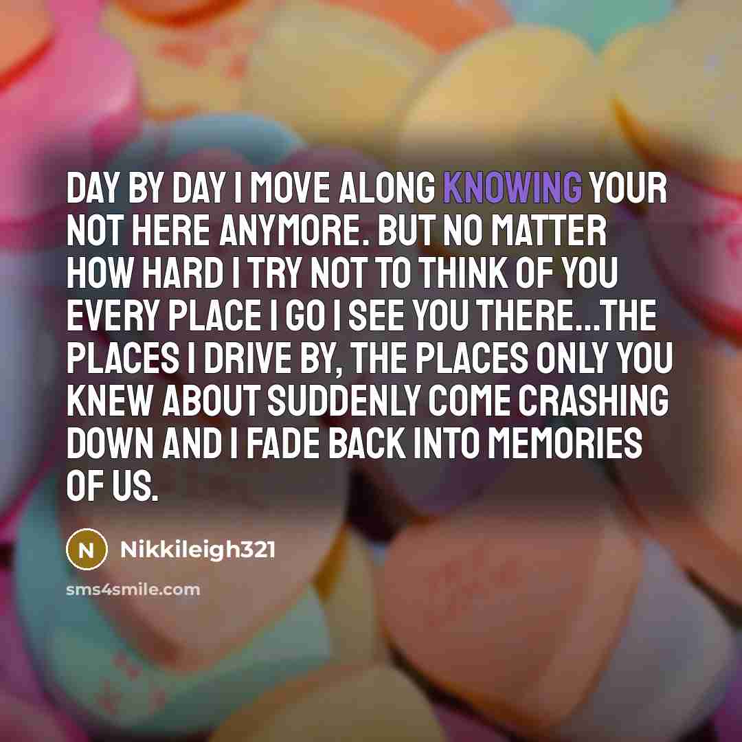 “Day by day I move along knowing your not here…” quote by Nikkileigh321